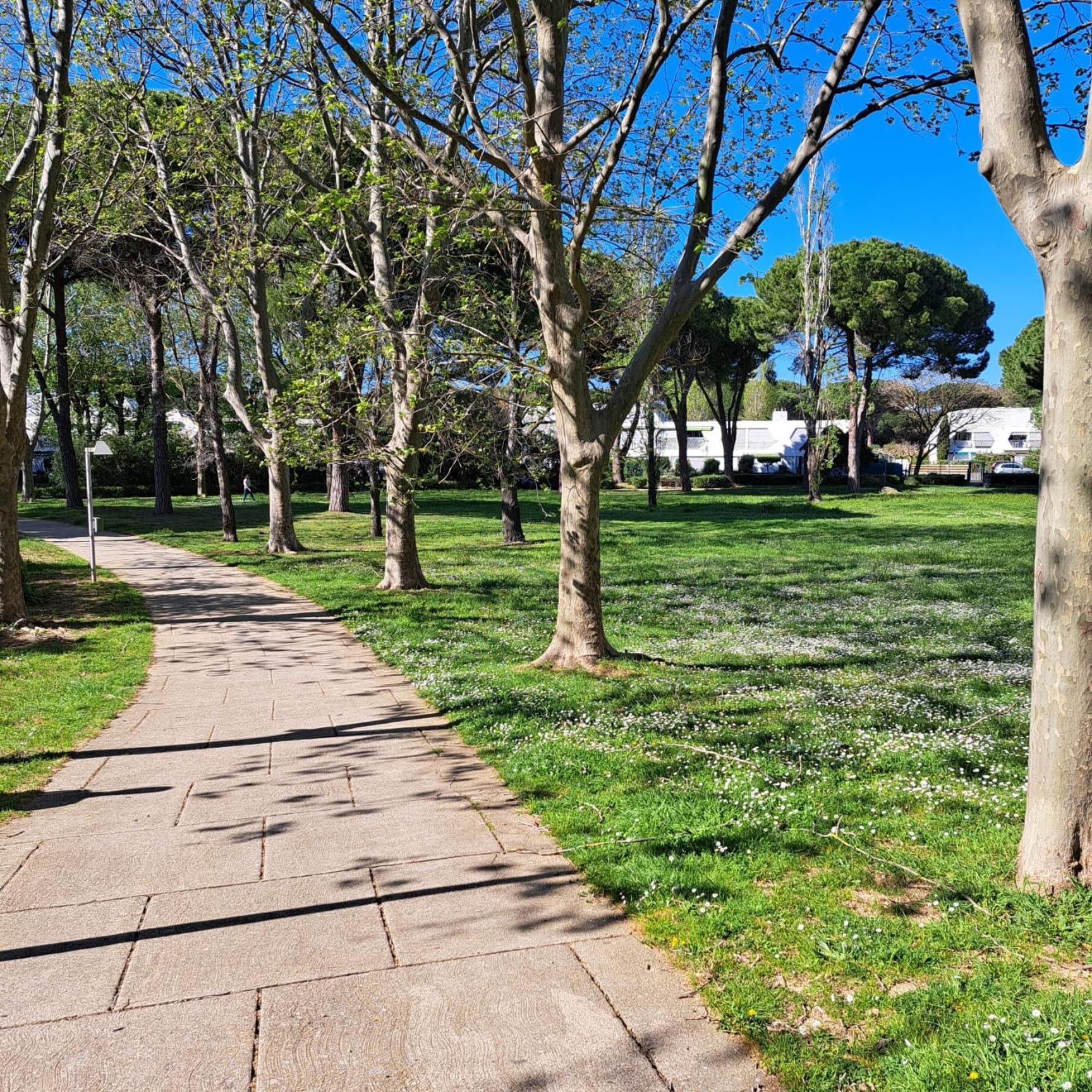 T2 West City Parking Clim Wifi 4Pers - Rossiconciergerie - Linge Inclus La Grande Motte Exteriör bild